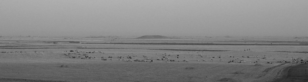 Image of Sumerian landscape